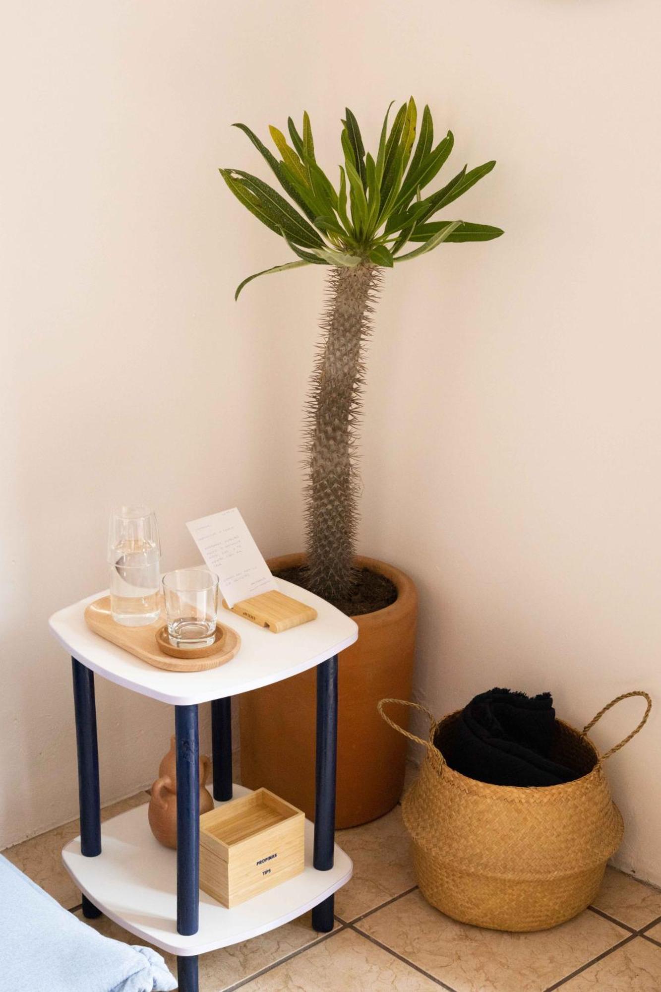 Siento Oaxaca Apartment Exterior photo